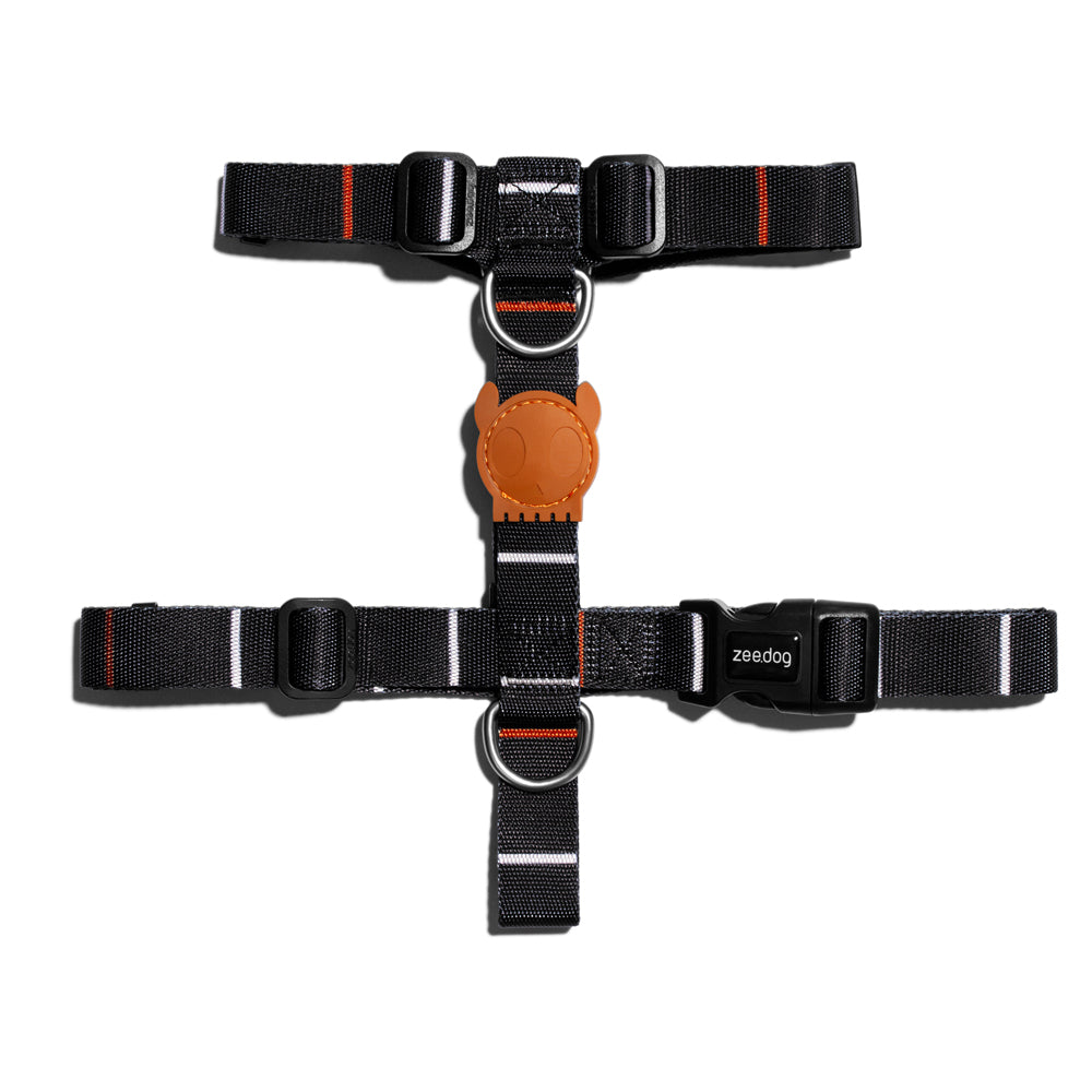 570012 PATAGONIA H-HARNESS L パタゴニア Hハーネス L