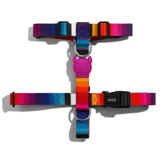 702371 PRISMA H-HARNESS L プリズマ Hハーネス L