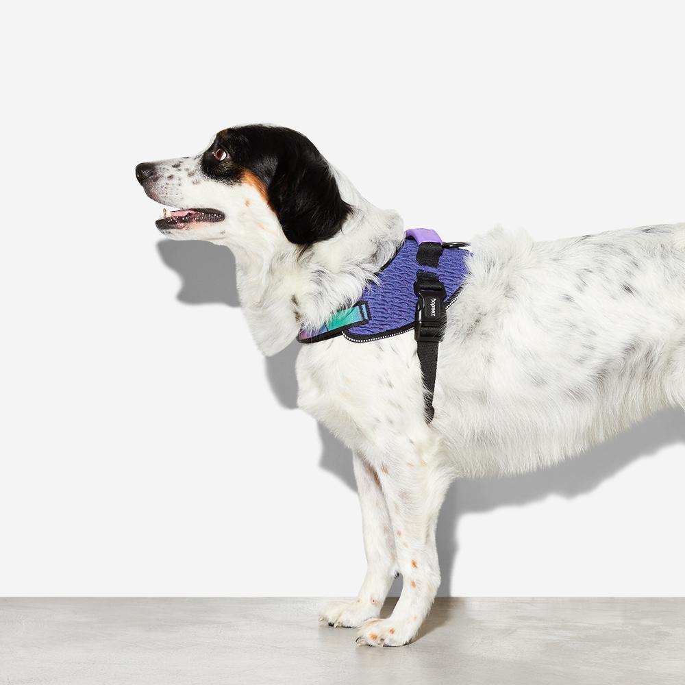 570903 WICKED FLY HARNESS M(3) ウィキッド フライハーネス M