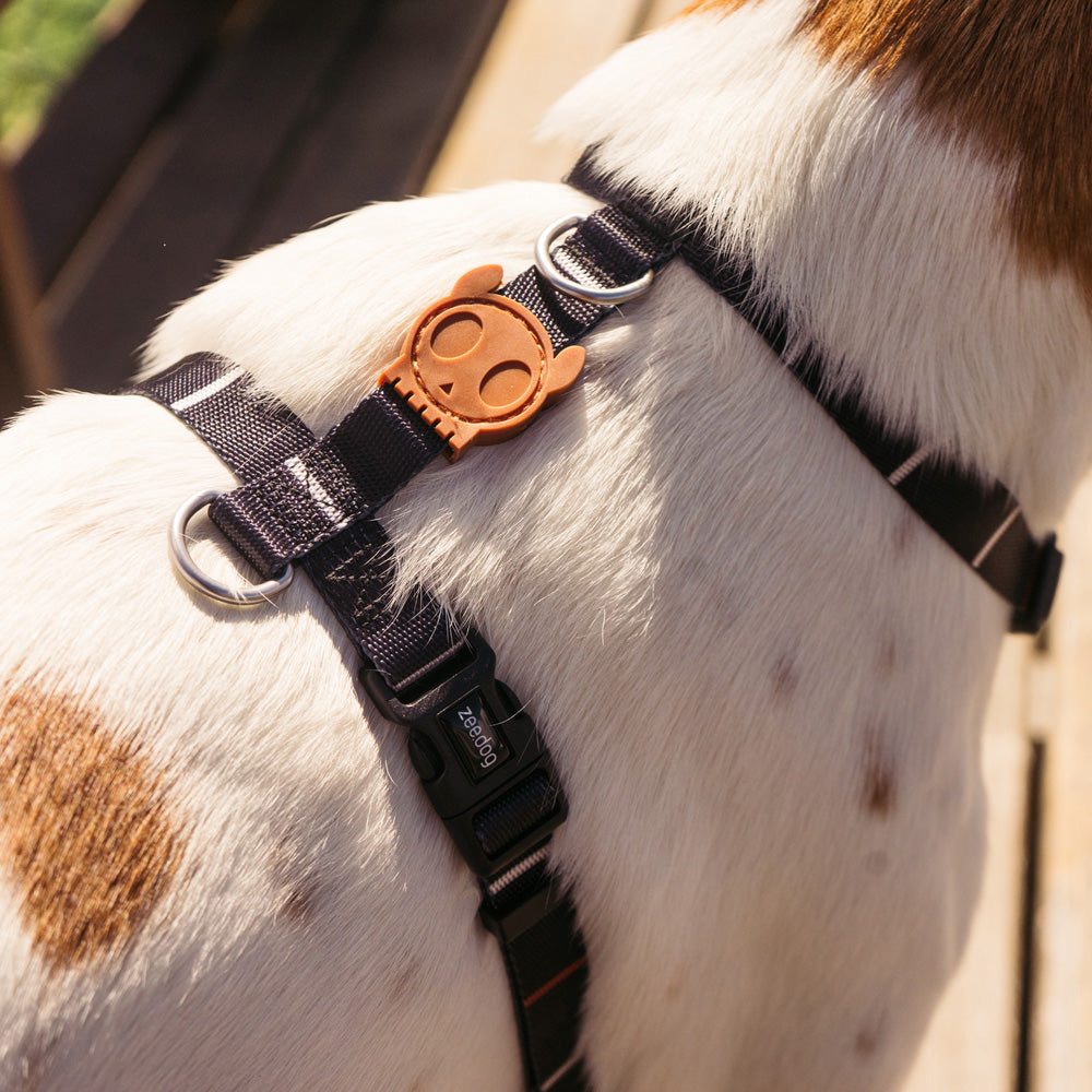 570012 PATAGONIA H-HARNESS L パタゴニア Hハーネス L