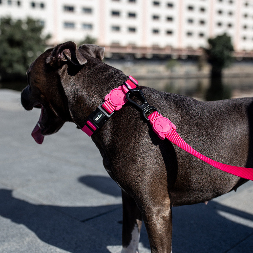 390008 PINK LED COLLAR L ピンクLED カラー L