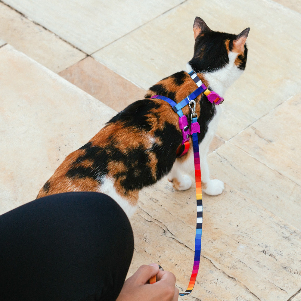 702397 zee.cat PRISMA LEASH HARNESS SET プリズマ リード・ハーネスセット